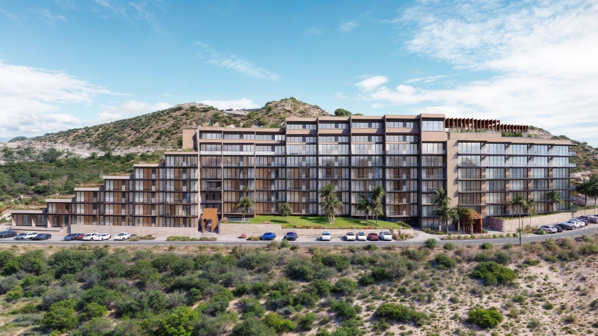 Portada alternativa de Palmilla Sur